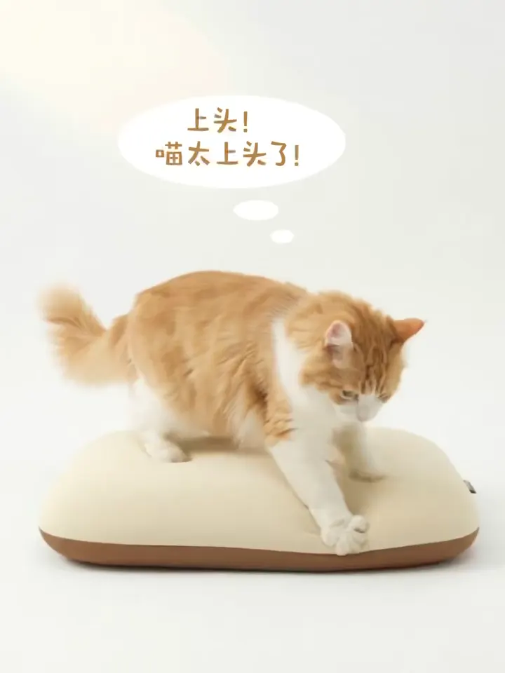姿界臻芯枕 · 萌宠种草